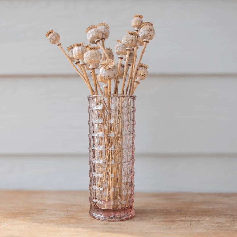 Dried Poppy Pods